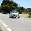 Montevago 2010 (489)